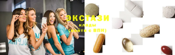 мдпв Краснослободск
