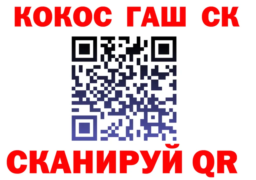 МЕФ мука зеркало дарк нет MEGA Западная Двина