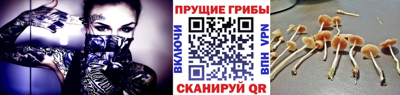 как найти закладки  Западная Двина  Галлюциногенные грибы мухоморы 